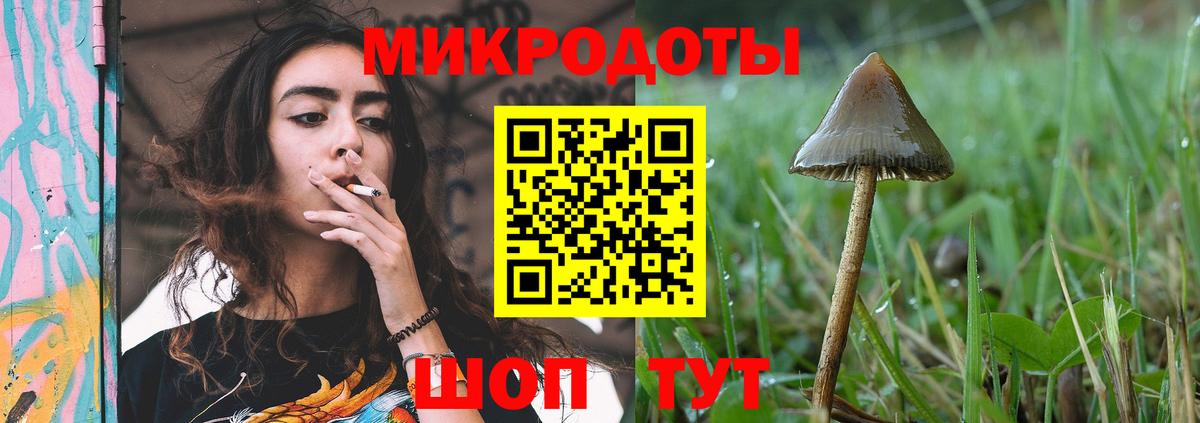 Галлюциногенные грибы MAGIC MUSHROOMS  Вход с VPN  Барнаул 